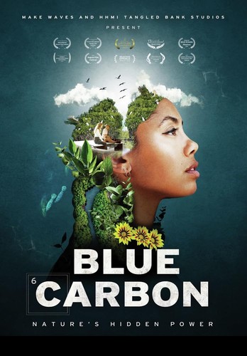 Blue carbon nature - blue, carbon: